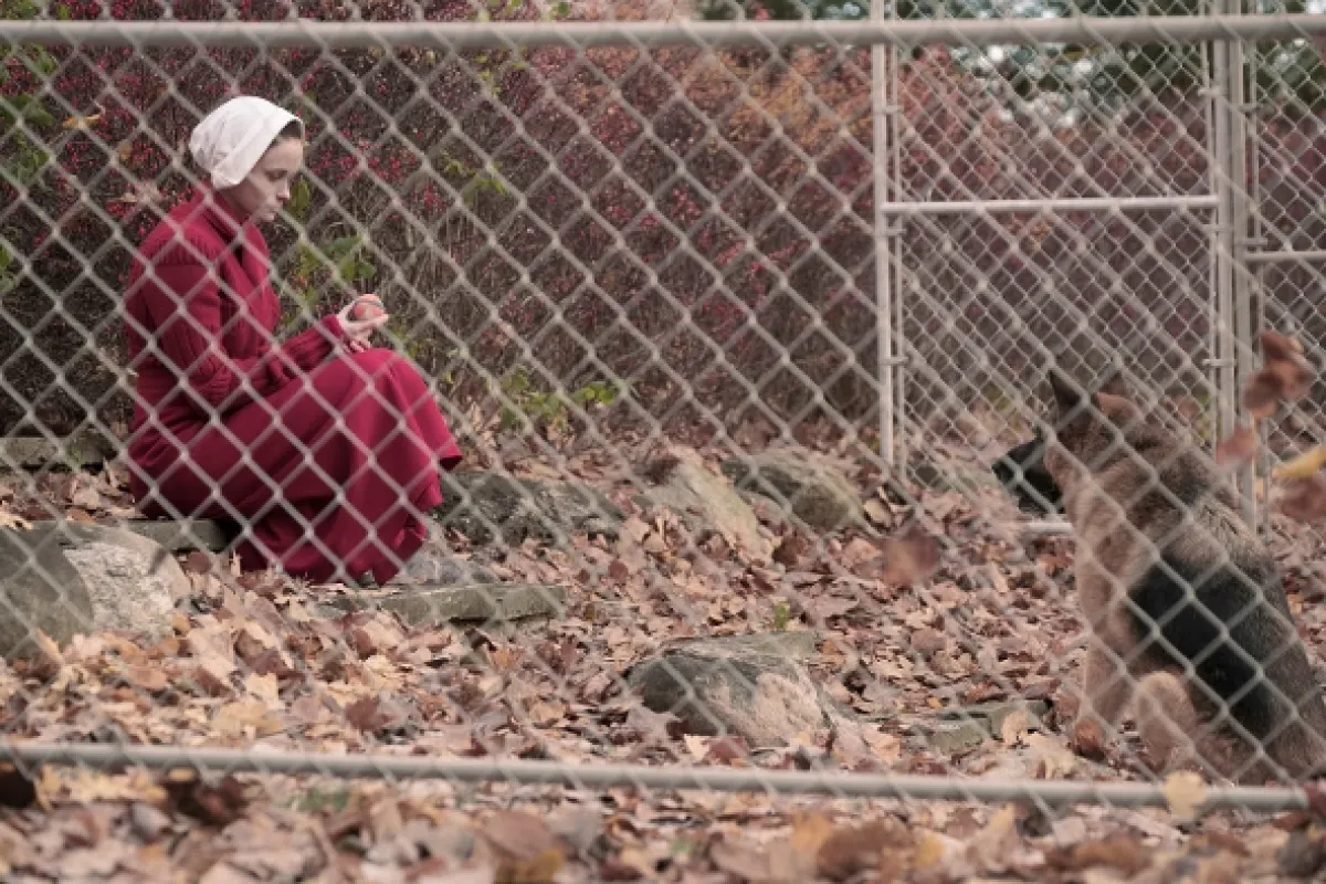 Příběh služebnice (The Handmaid’s Tale: Faithful), 2017 - fotogaléria