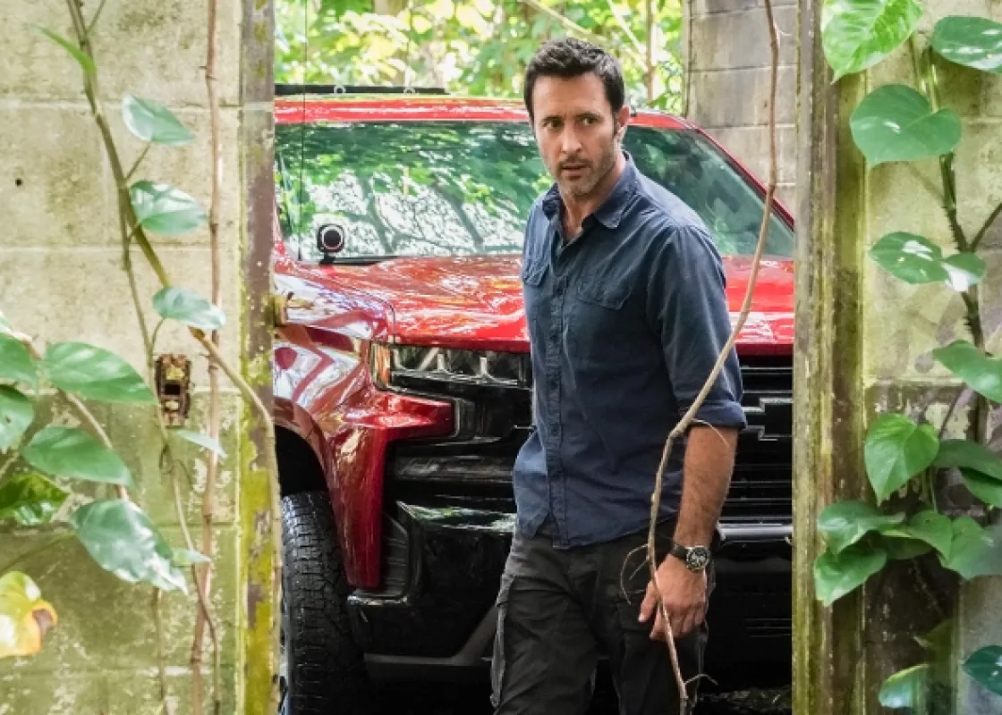 Hawaii 5.0 (Hawaii Five-0 X - Passing time obscures the past/Tiny is the flower, yet it scents the grasses around it), 2019 - fotogaléria
