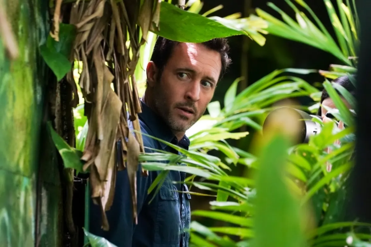 Hawaii 5.0 (Hawaii Five-0 X - Passing time obscures the past/Tiny is the flower, yet it scents the grasses around it), 2019 - fotogaléria