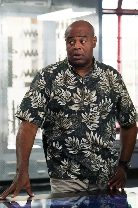Hawaii 5.0, 2020 - fotogaléria