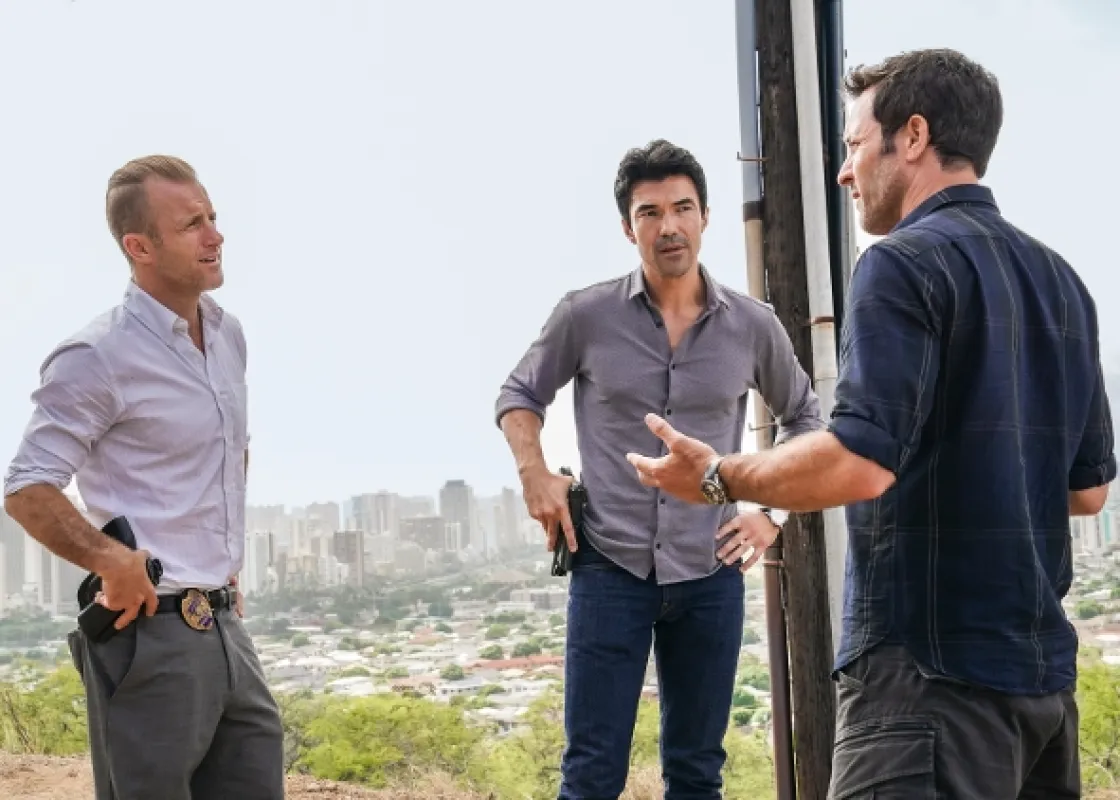 Hawaii 5.0 (Hawaii Five-0 X - Passing time obscures the past/Tiny is the flower, yet it scents the grasses around it), 2019 - fotogaléria