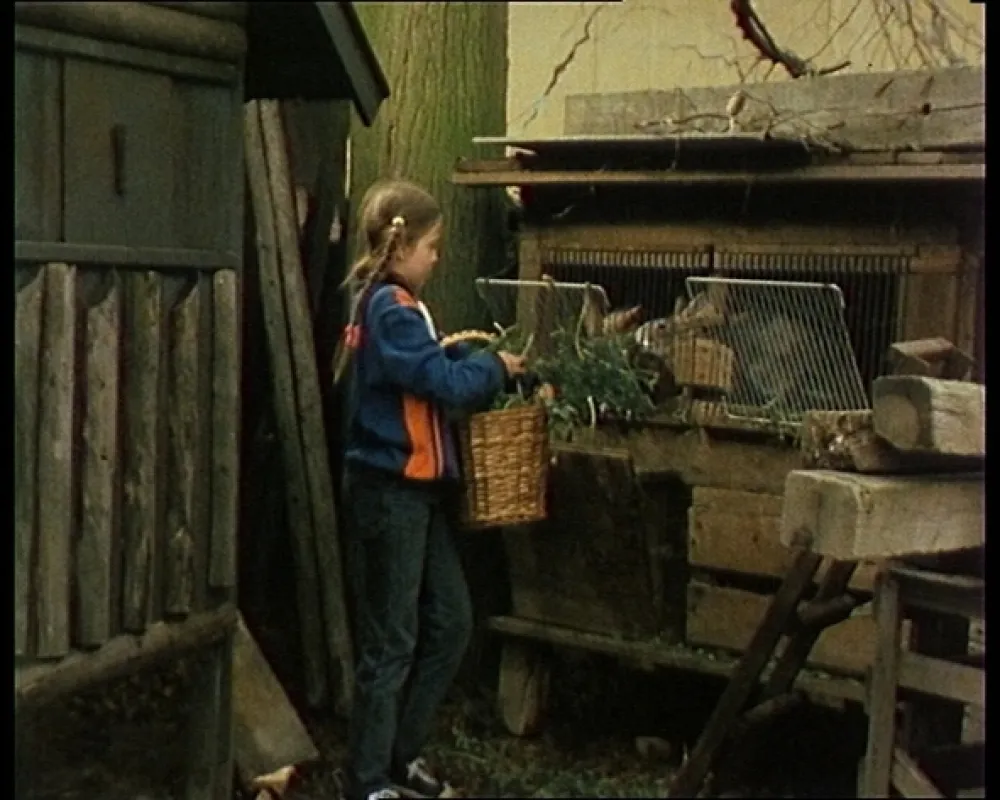 Plivník, 1990 - fotogaléria