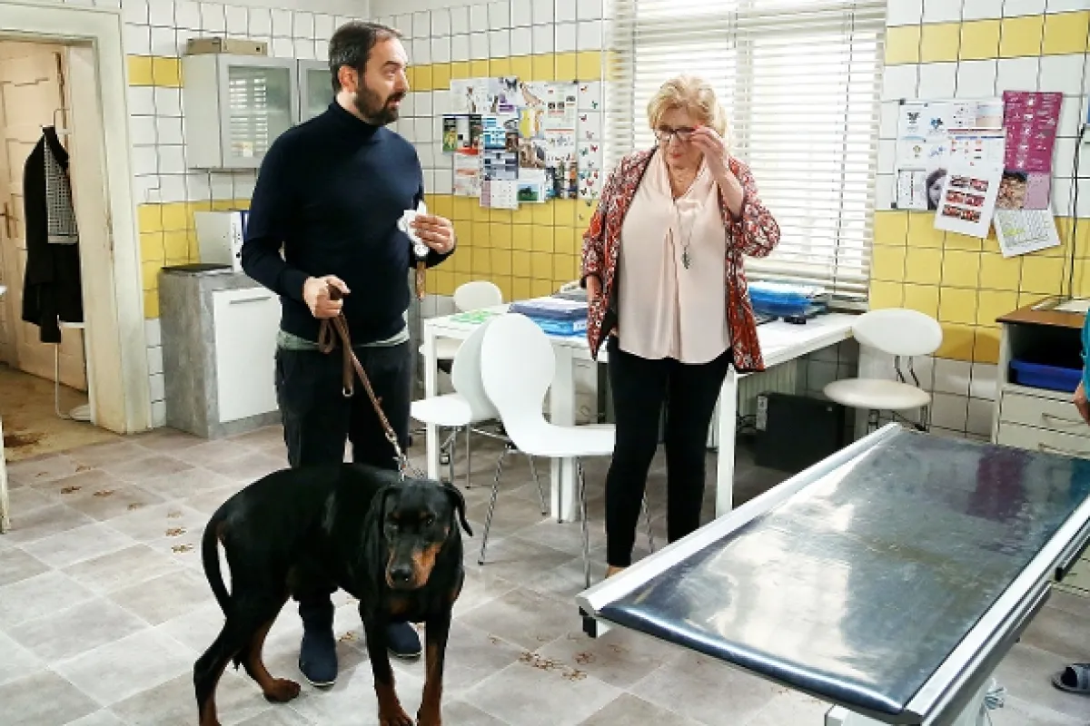 Krejzovi, 2018 - fotogaléria
