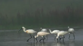 Rýnské putování (1)