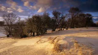 Rýnské putování (1)