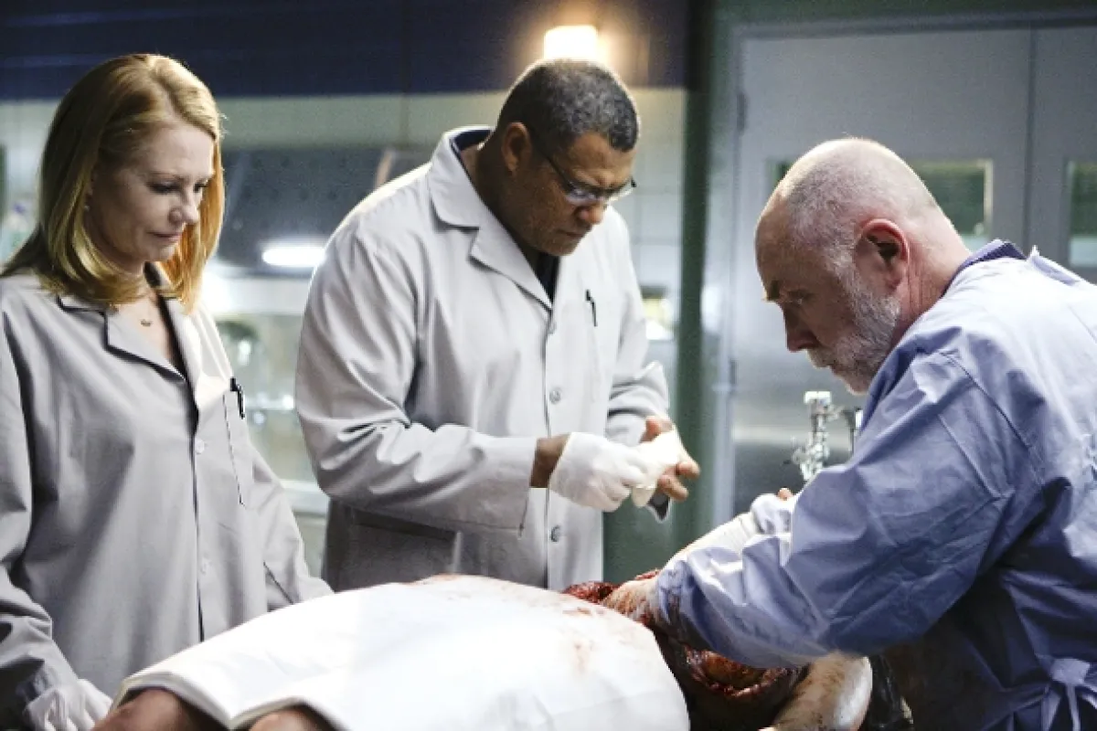 Kriminálka Las Vegas (CSI IX), 2008 - fotogaléria