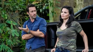 Hawaii 5.0 X (3)
