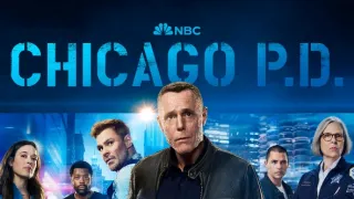 Bűnös Chicago XIII (15)