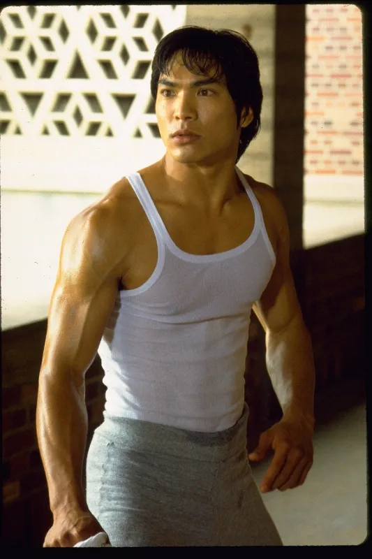 Dračí život Bruce Lee (Dragon: The Bruce Lee Story), 1993 - fotogaléria