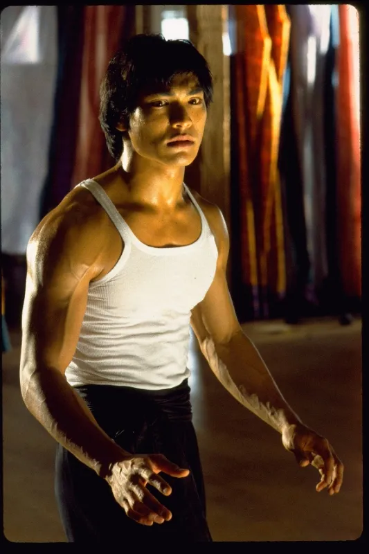 Dračí život Bruce Lee (Dragon: The Bruce Lee Story), 1993 - fotogaléria