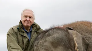 David Attenborough: Slon menom Jumbo