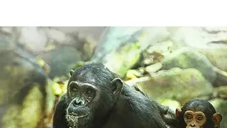 Jezero Tanganika: Modré srdce Afriky (1)