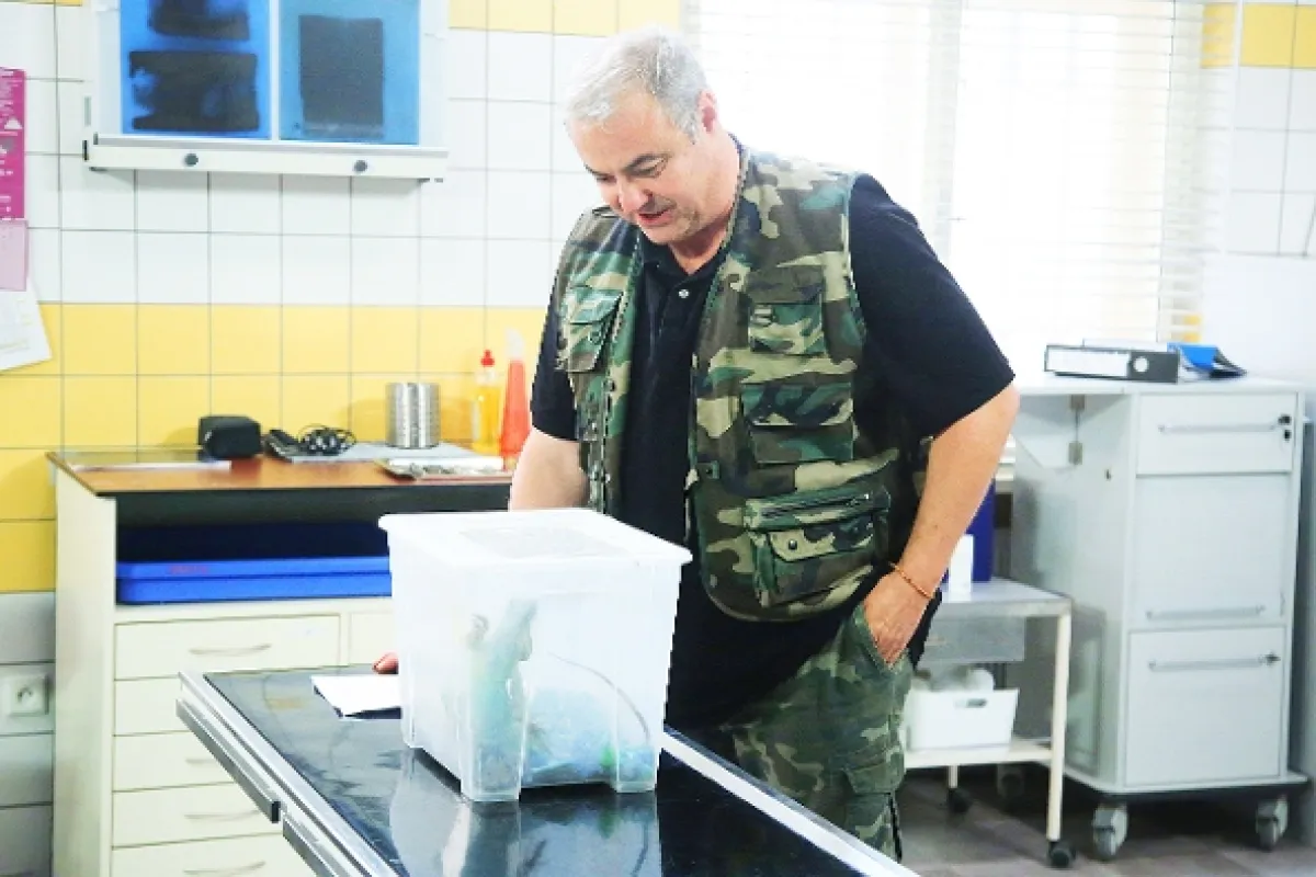 Krejzovi, 2019 - fotogaléria