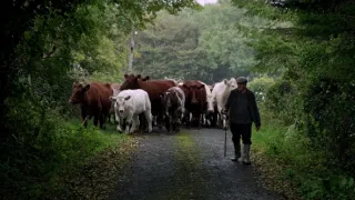 Burren: Kamenné srdce Írska (1)
