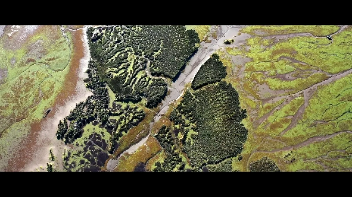 Planeta Země: Síly života, 2025 - fotogaléria