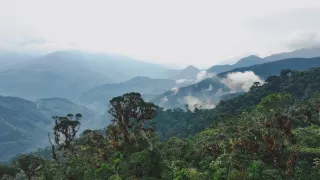 Misia: Amazónia a my