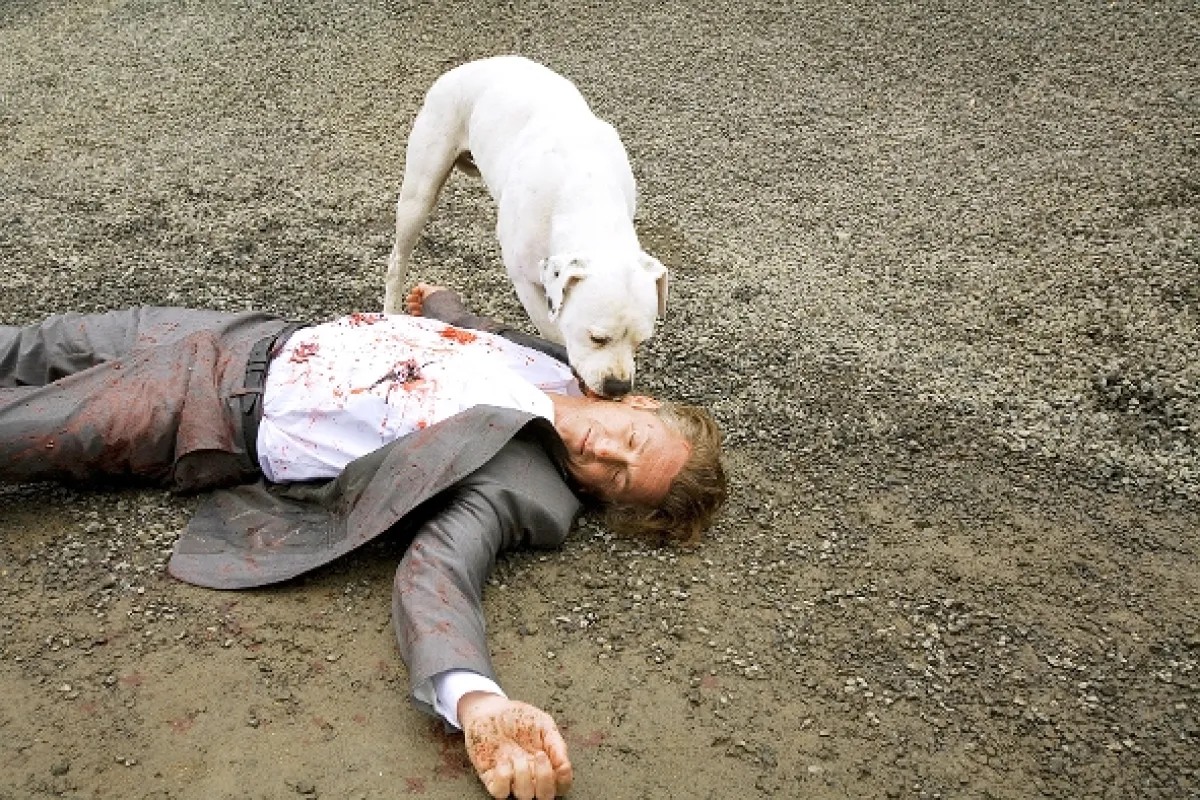 Co se vlastně stalo (What Just Happened), 2008 - fotogaléria