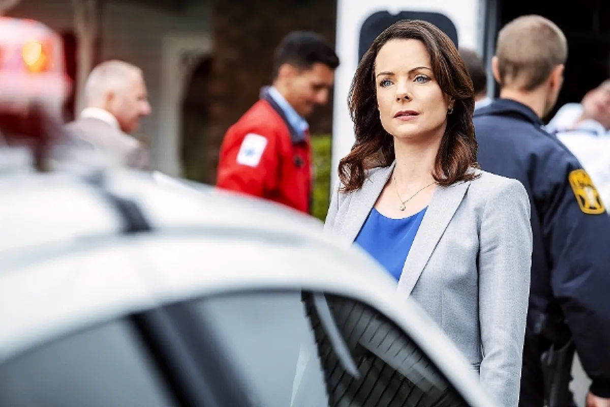 Svedkom vraždy (Witness to Murder: A Darrow Mystery/Darrow & Darrow), 2019 - fotogaléria