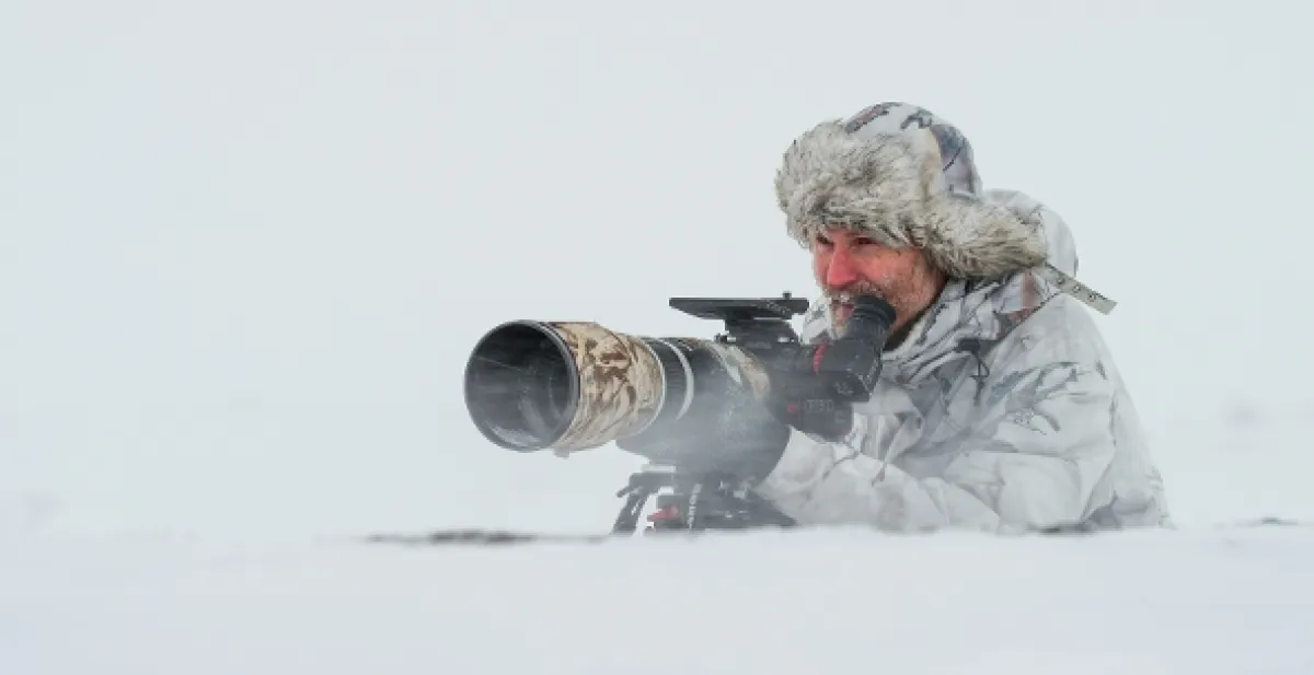 Norsko: Volání divočiny (Norway - A Call from the Wild), 2024 - fotogaléria