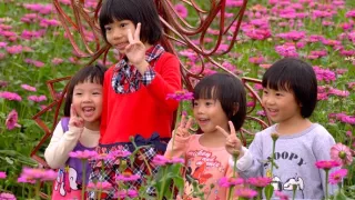 Na cestě po západním Tchaj-wanu