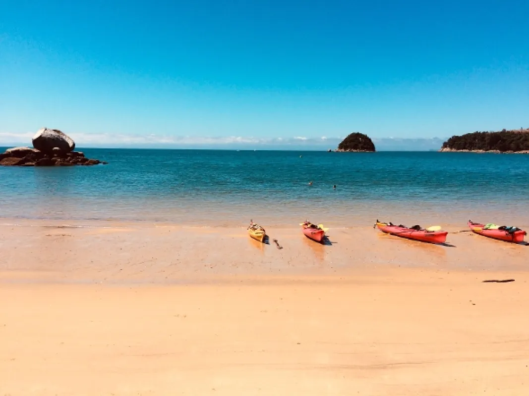 Kiwiland, 2019 - fotogaléria