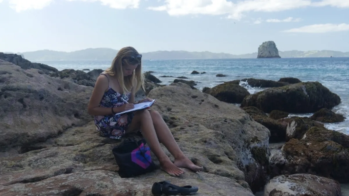Kiwiland, 2019 - fotogaléria