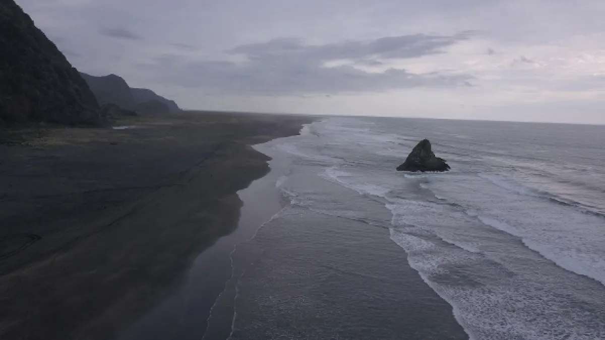 Kiwiland, 2019 - fotogaléria