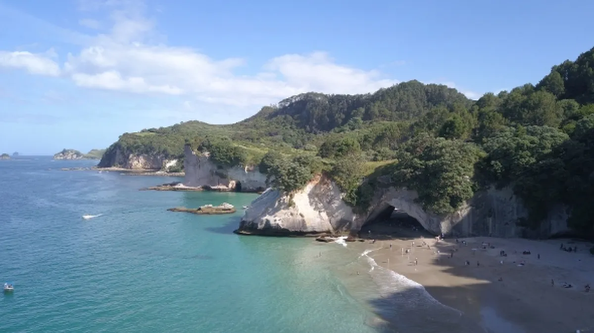 Kiwiland, 2019 - fotogaléria