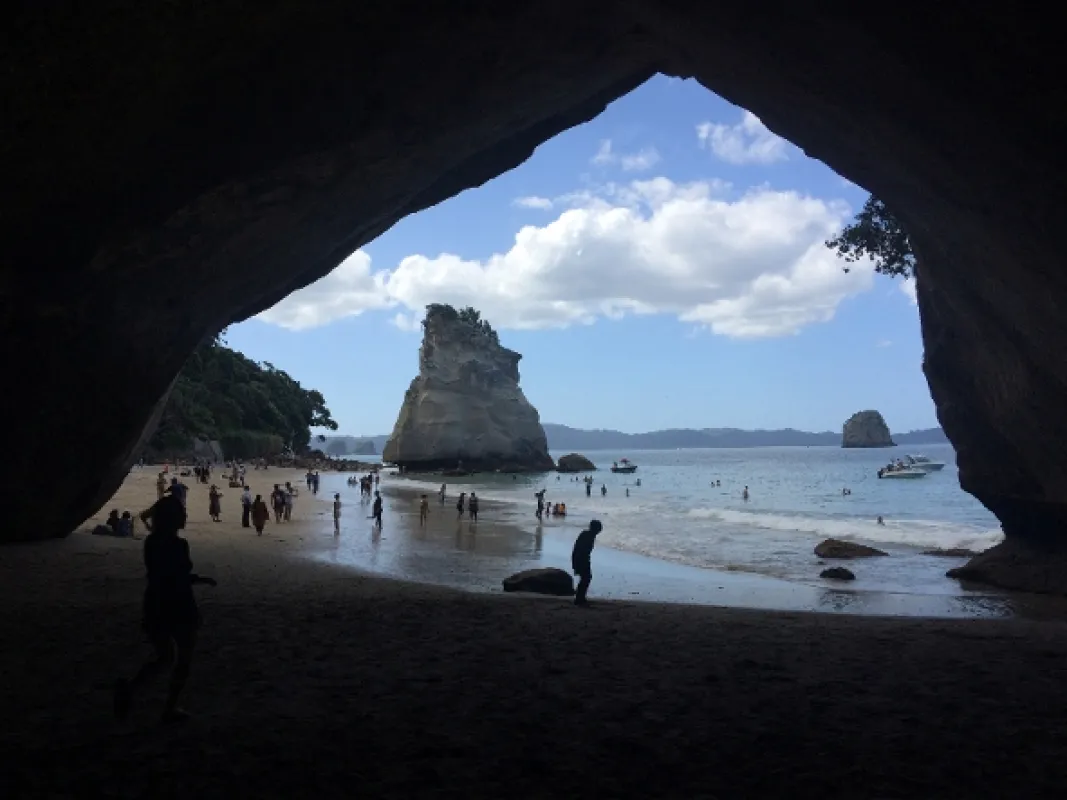 Kiwiland, 2019 - fotogaléria