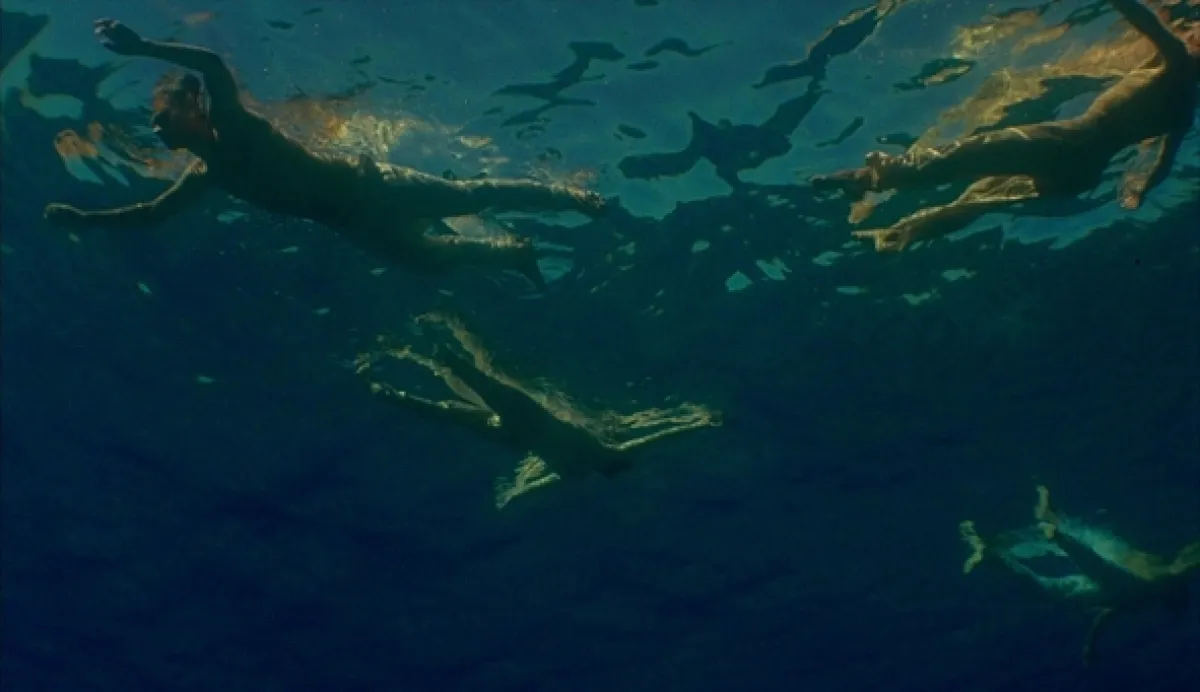 Renoir, 2012 - fotogaléria