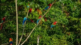 Peru: Divoké bojisko (2)
