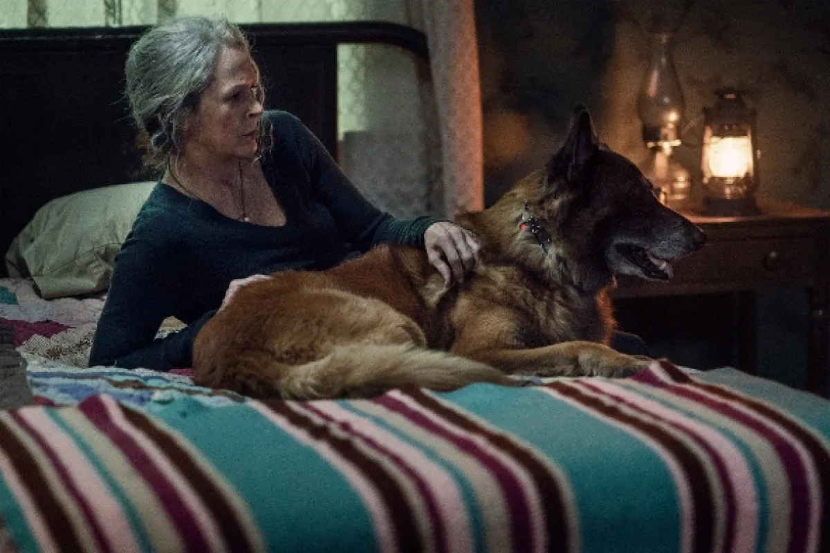 Živí mŕtvi, 2021 - fotogaléria