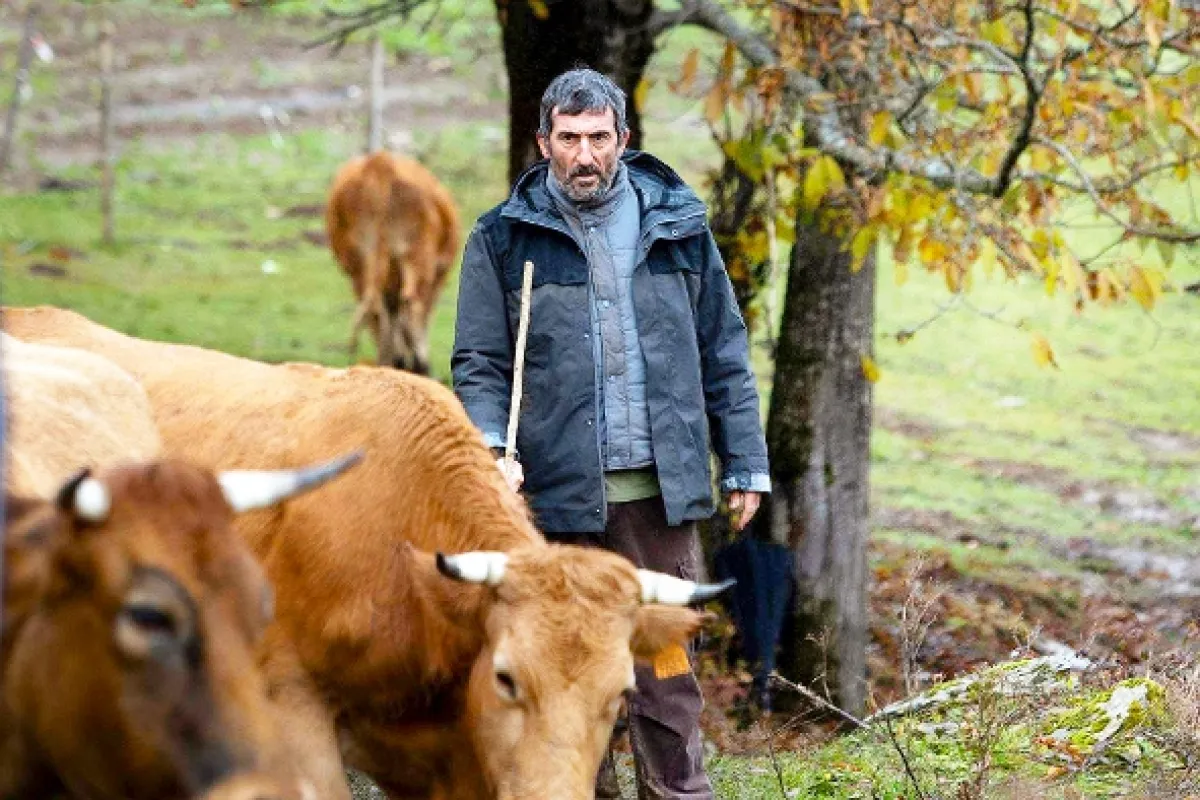 Ako zvery (The Beasts), 2022 - fotogaléria