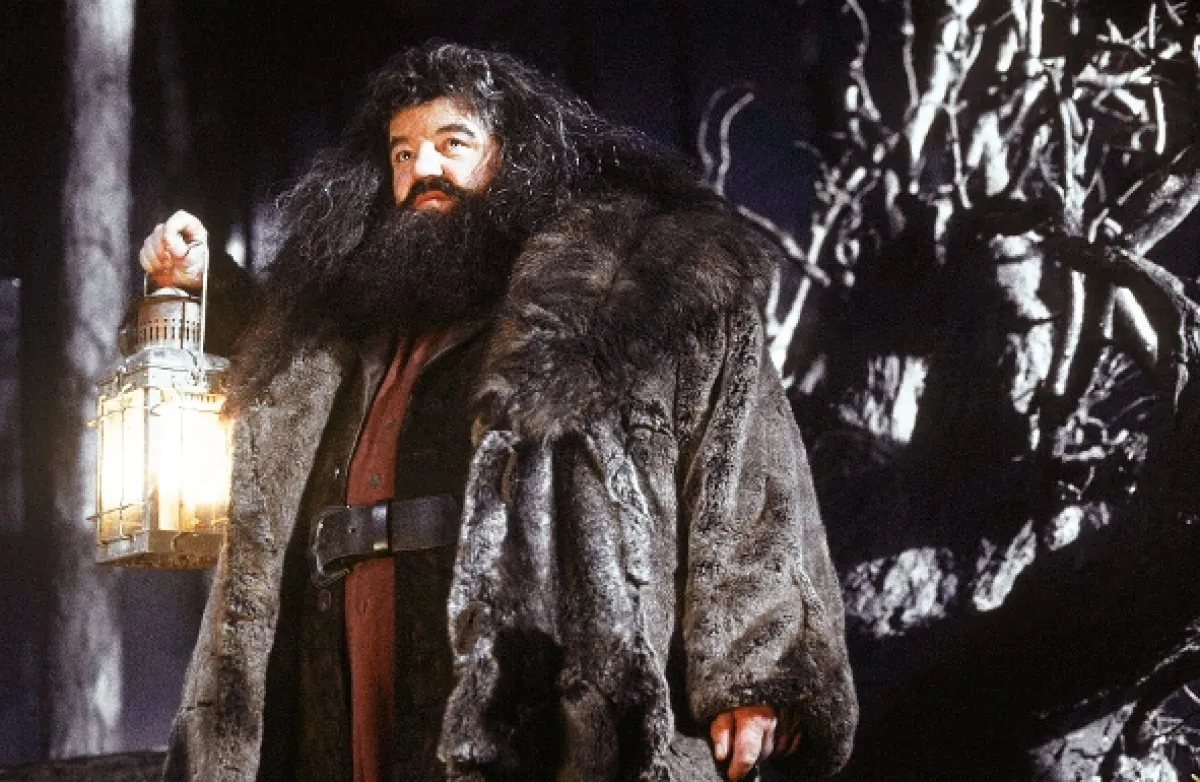 Harry Potter a Kámen mudrců (Harry Potter and the Sorcerer’s Stone), 2001 - fotogaléria