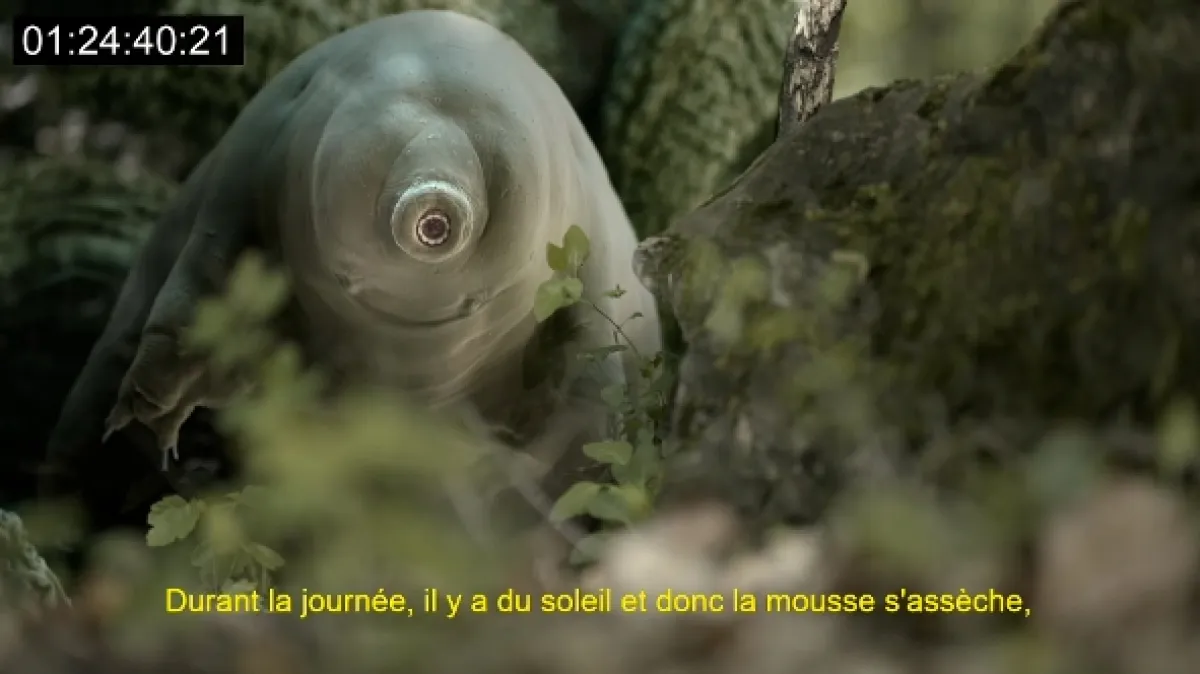 Želvušky: Nezničitelní tvorové (Tardigrade: L’animal indestructible), 2023 - fotogaléria
