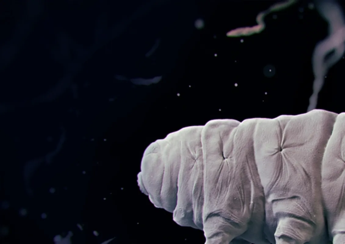 Želvušky: Nezničitelní tvorové (Tardigrade: L’animal indestructible), 2023 - fotogaléria
