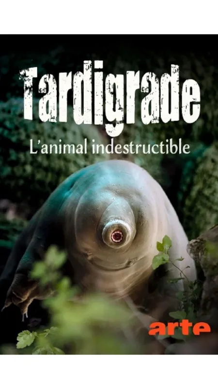 Želvušky: Nezničitelní tvorové (Tardigrade: L’animal indestructible), 2023 - fotogaléria