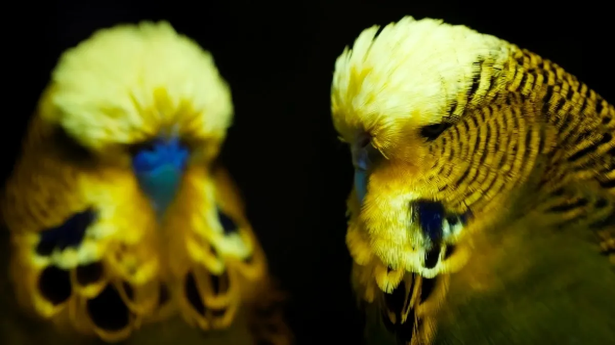 Odhalená tajemství fluorescence (La vie en fluo), 2025 - fotogaléria