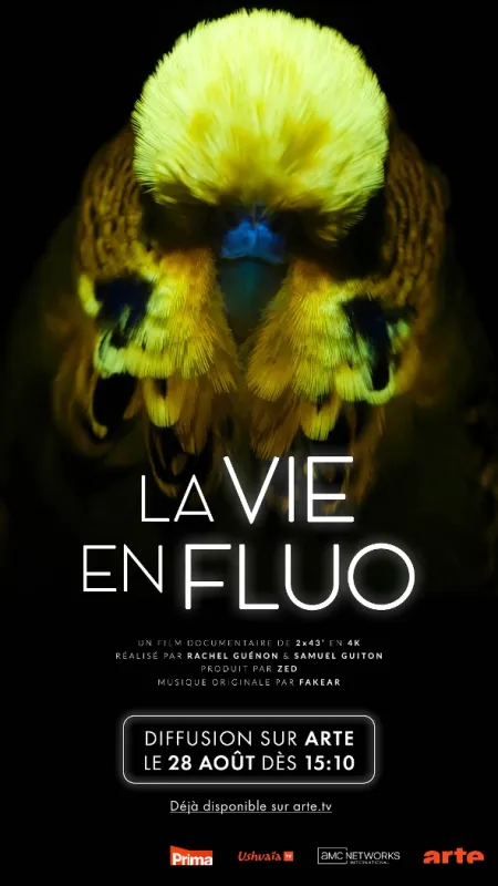 Odhalená tajemství fluorescence (La vie en fluo), 2025 - fotogaléria