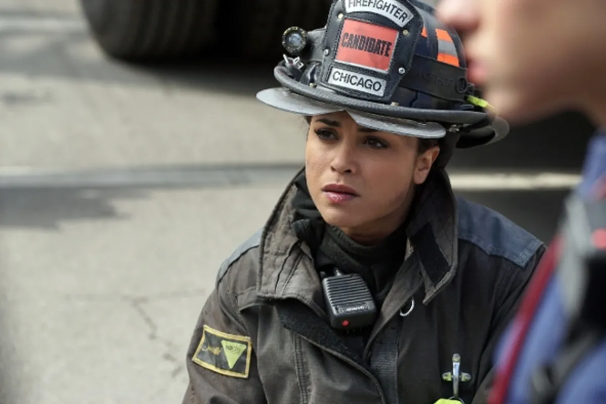 Chicago Fire, 2014 - fotogaléria