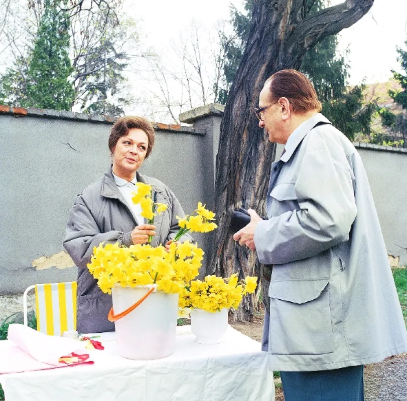 Narcisový dům, 1994 - fotogaléria