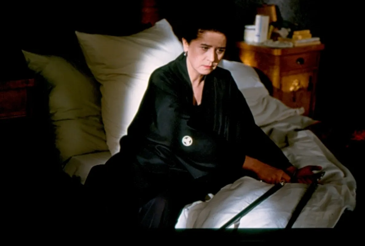 Maigret v rodinném penzionu (Maigret en meublé), 2004 - fotogaléria