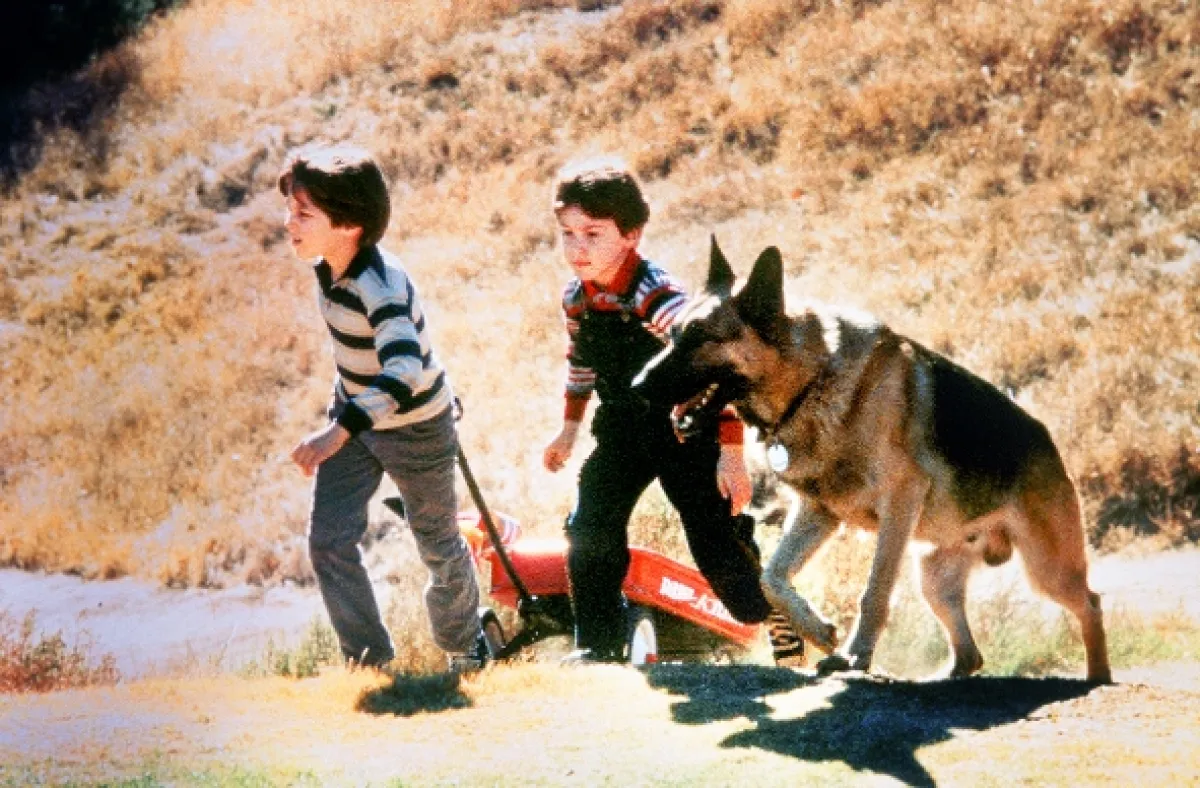 Radio Flyer, 1992 - fotogaléria
