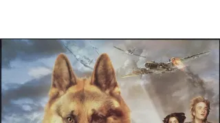 Sniff, vojnový hrdina