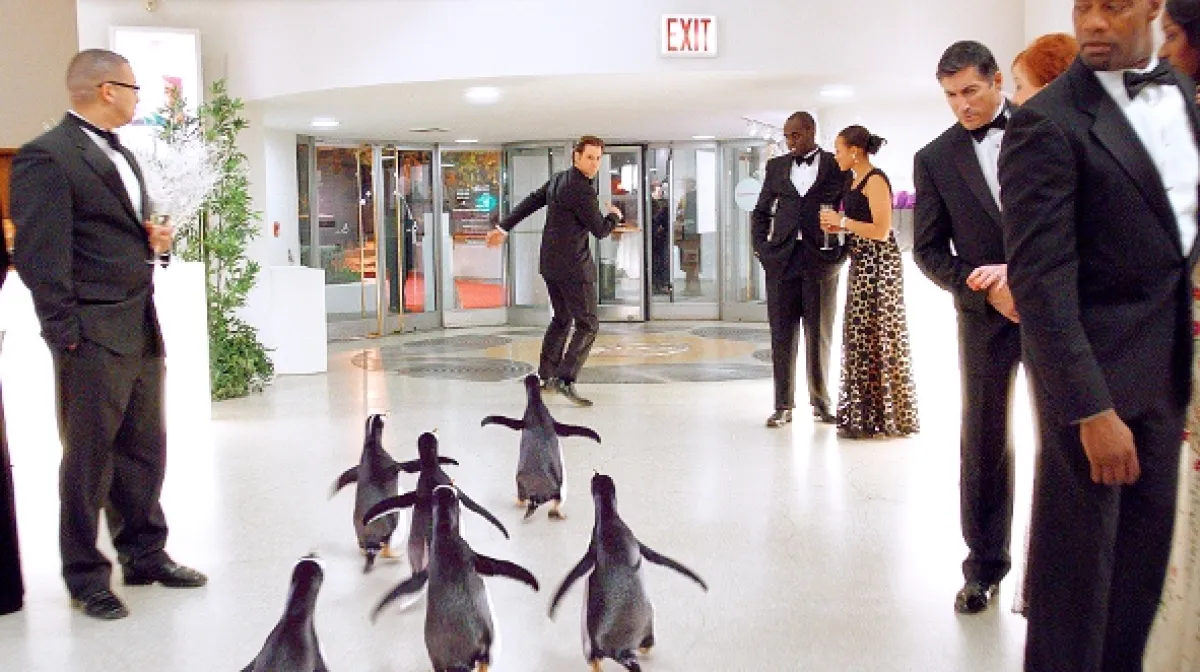 Pan Popper a jeho tučňáci (Mr. Popper’s Penguins), 2011 - fotogaléria