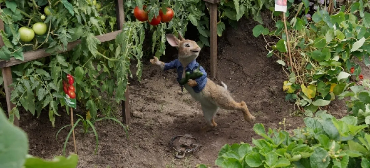 Králik Peter (Peter Rabbit), 2018 - fotogaléria