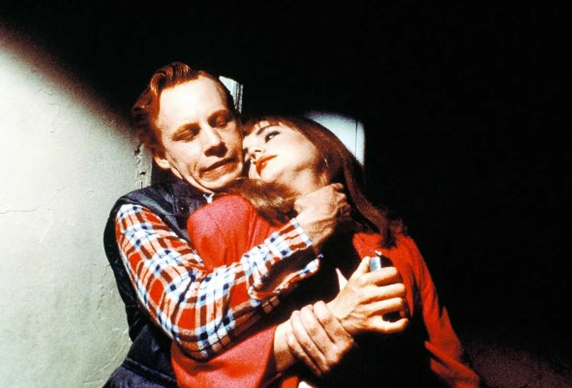 Okno zo spálne (Bedroom Window, The), 1987 - fotogaléria