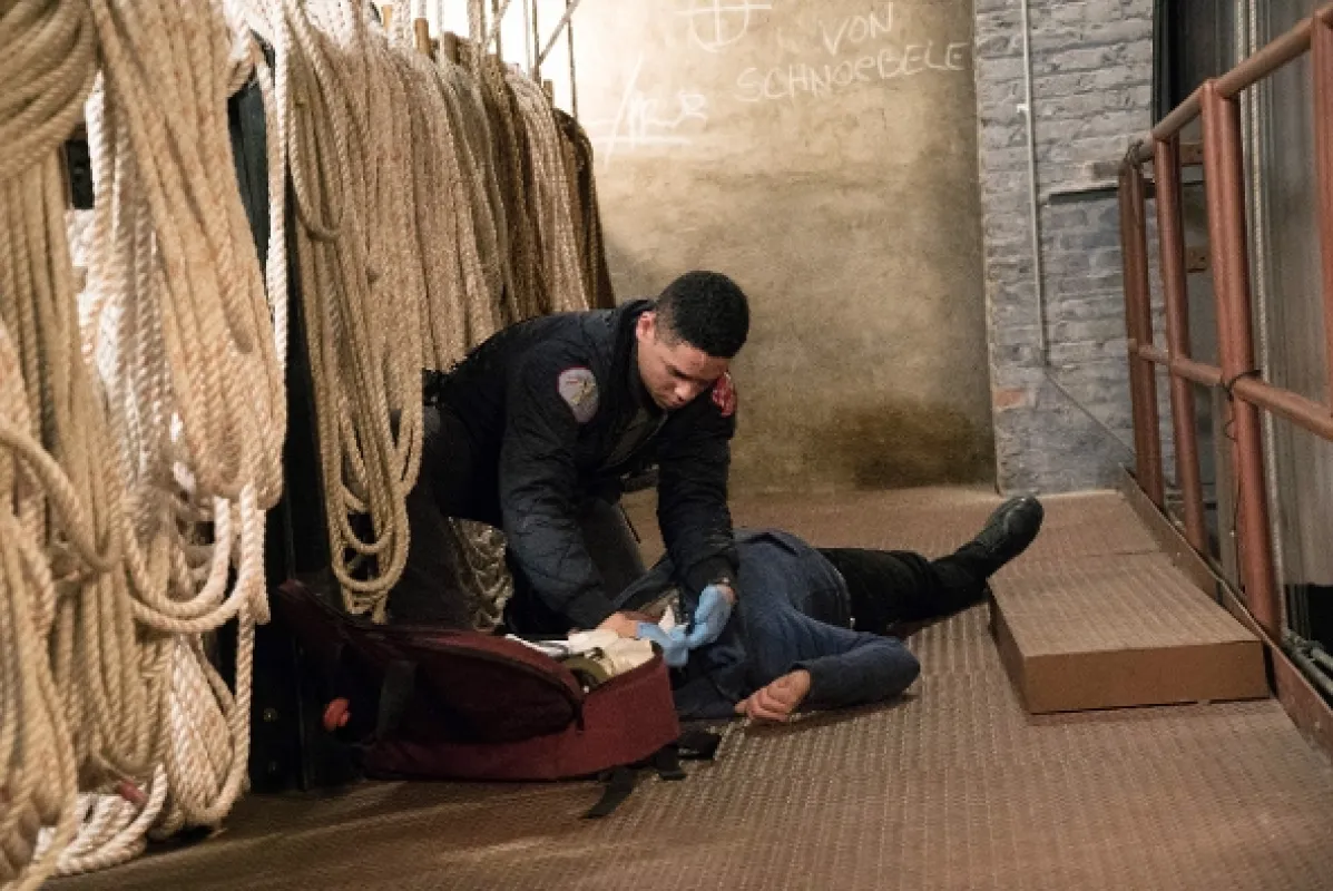 Chicago Fire, 2014 - fotogaléria