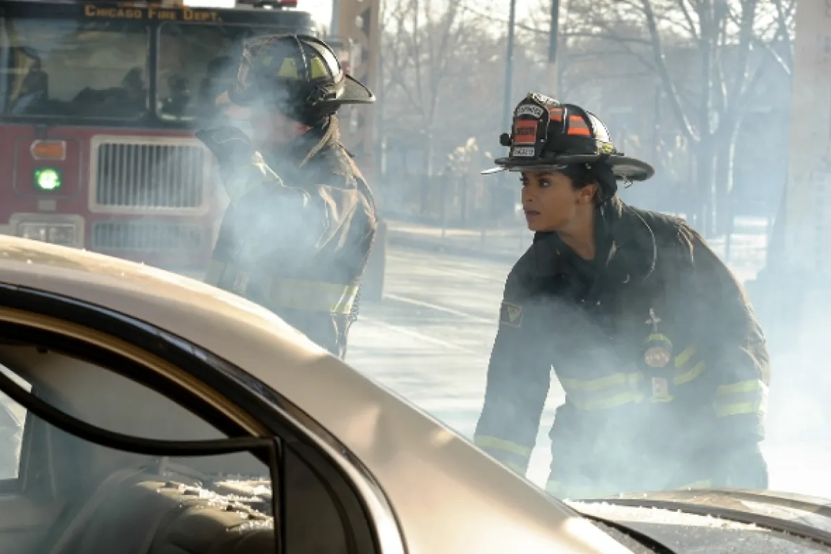 Chicago Fire, 2014 - fotogaléria