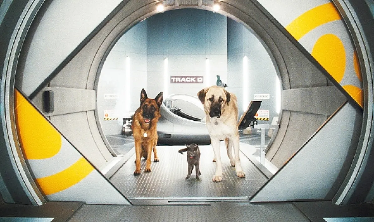 Mačky a psy (Cats & Dogs), 2001 - fotogaléria